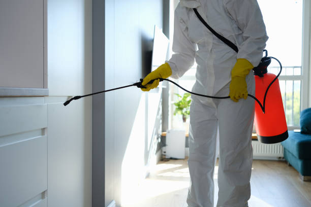 Best Post-Flood Mold Remediation in Richmond Heights, FL
